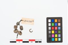 Foto von Perlenkette (NHMW-PRAE-025434a)